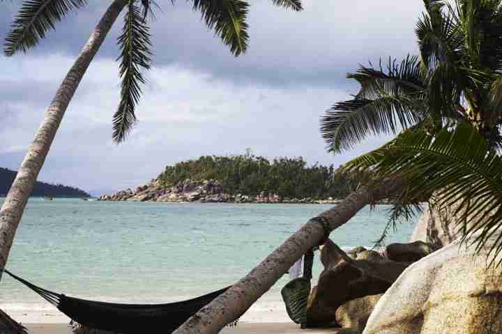 Bedarra Island Hammock on Beach with Palm Trees in Luxury Accommodation Australia
