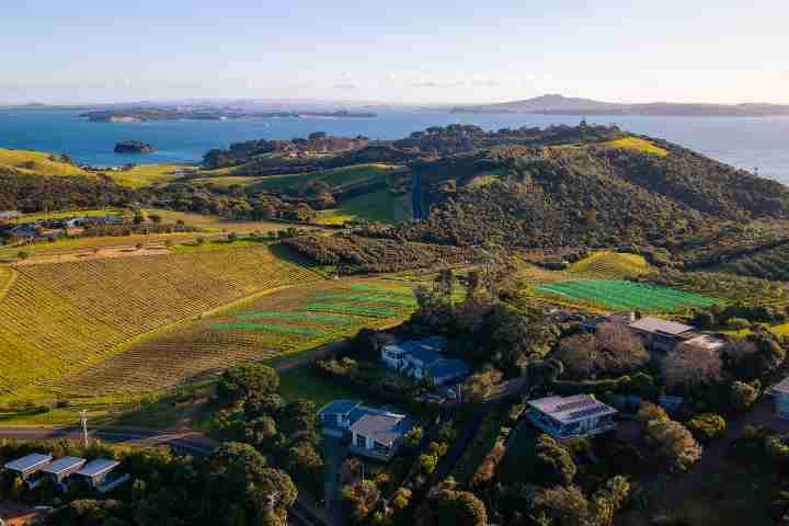 Oriwa Villa by Waiheke Unlimited vineyard views