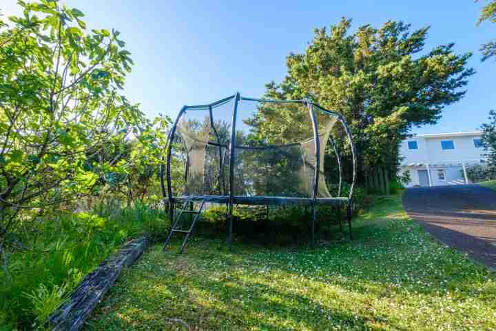 Palm Ridge trampoline