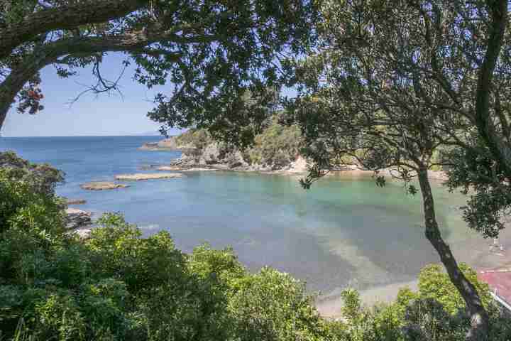 beachfront enclosure bay 01 waiheke island accomodation house flat apartment premium back views trees3